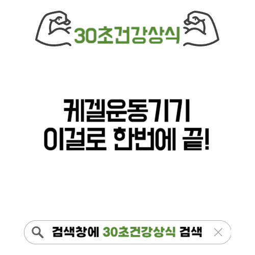 케겔운동기기