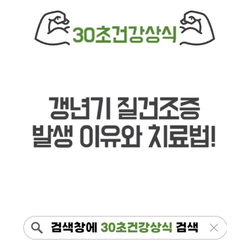 갱년기 질건조증 치료법