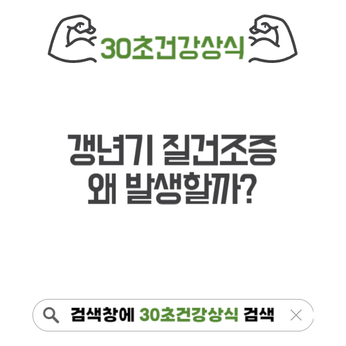 갱년기 질건조증