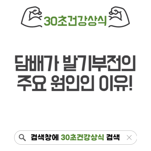 담배 발기부전