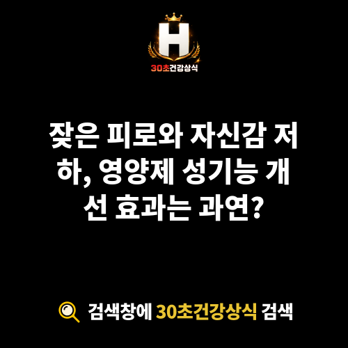 영양제 성기능