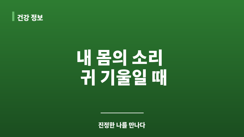 명기 보조 이미지