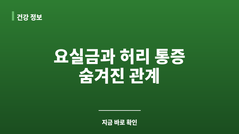 요실금 허리 디스크 관계 보조 이미지 요실금 허리 디스크 관계 보조 이미지