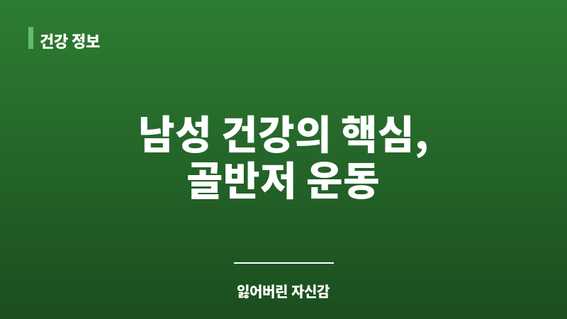 남성 골반저 운동 보조 이미지