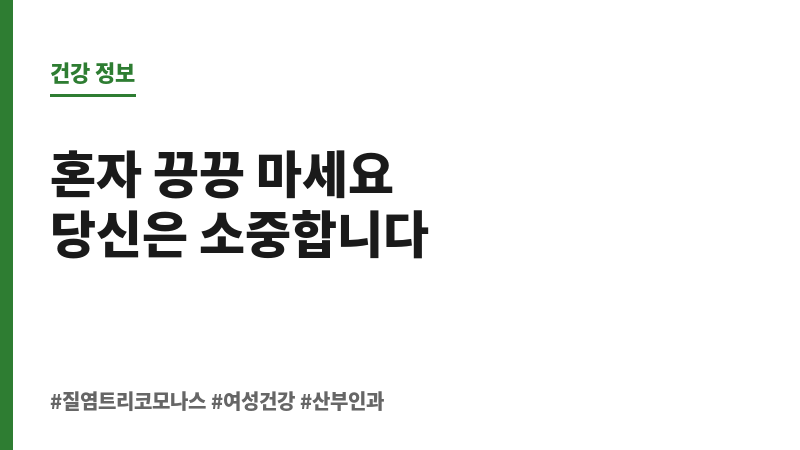 질염 트리코모나스 보조 이미지 질염 트리코모나스 보조 이미지