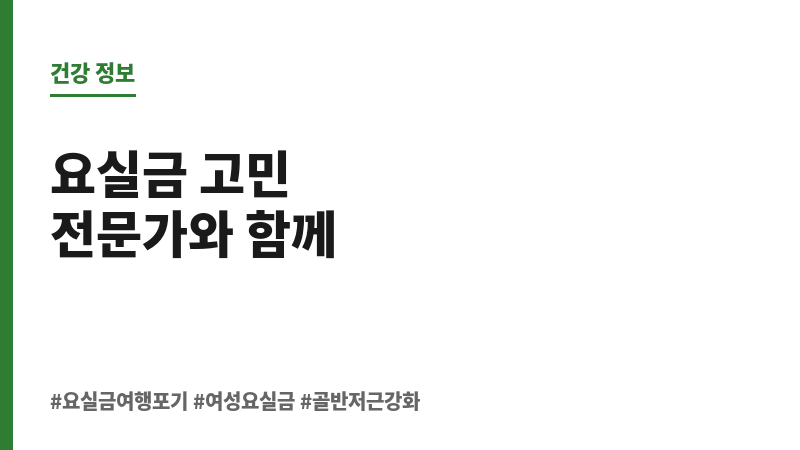 요실금 여행 포기 보조 이미지 요실금 여행 포기 보조 이미지