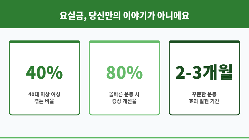 요실금운동 보조 이미지 요실금운동 보조 이미지
