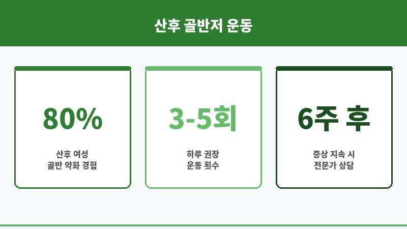 산후 골반저 운동 보조 이미지