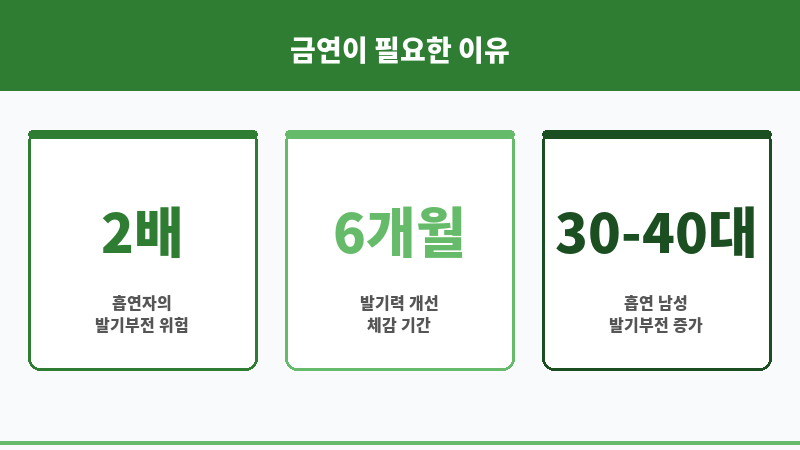 발기부전 담배 끊으면 보조 이미지 발기부전 담배 끊으면 보조 이미지