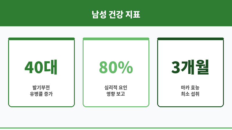 발기부전 마카 효과 보조 이미지 발기부전 마카 효과 보조 이미지