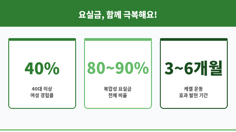 요실금 심한 경우 보조 이미지