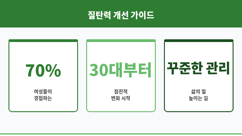 질탄력 보조 이미지