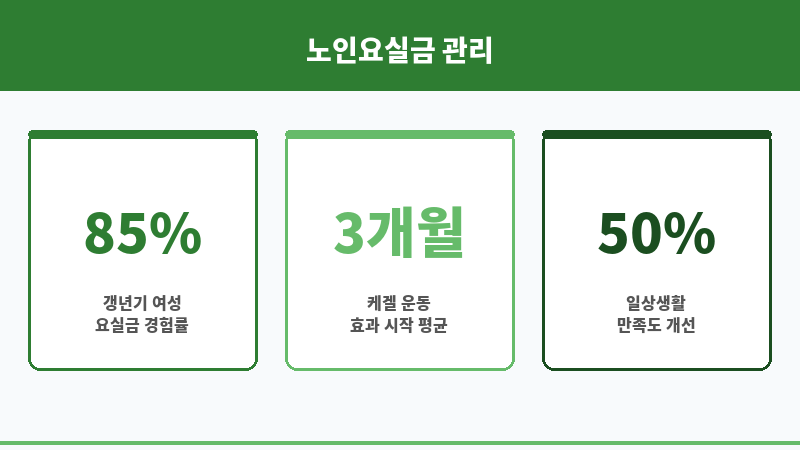 노인요실금원인 보조 이미지