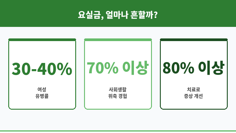 요실금 가족에게 숨기기 보조 이미지