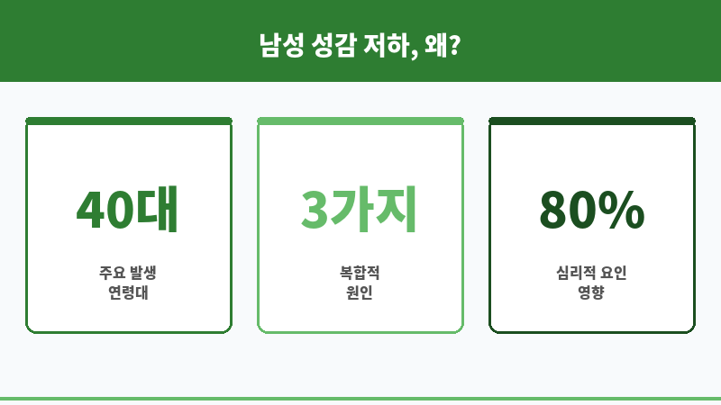 남성 성감 저하 보조 이미지 남성 성감 저하 보조 이미지