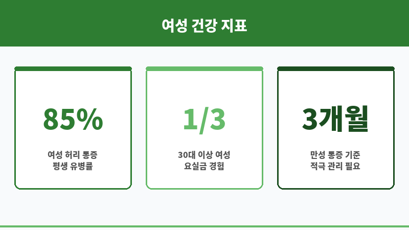 요실금 허리 디스크 관계 보조 이미지 요실금 허리 디스크 관계 보조 이미지