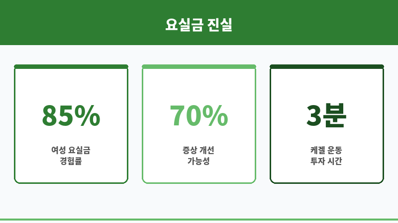 요실금 여행 포기 보조 이미지 요실금 여행 포기 보조 이미지