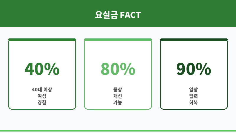 요실금 수술 비용 보조 이미지 요실금 수술 비용 보조 이미지
