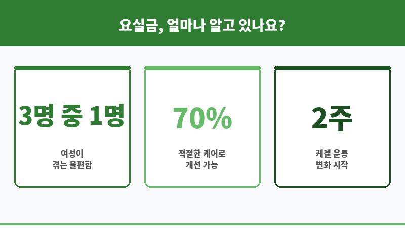 폐경 전 요실금 보조 이미지 폐경 전 요실금 보조 이미지