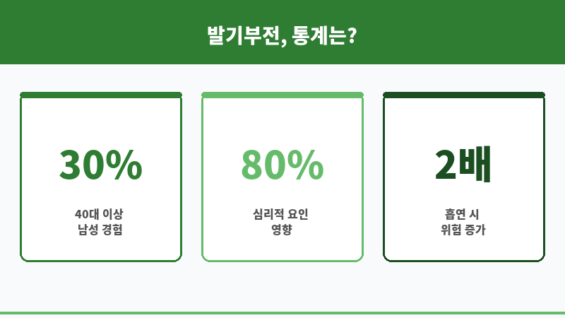 발기부전 한방 치료 보조 이미지