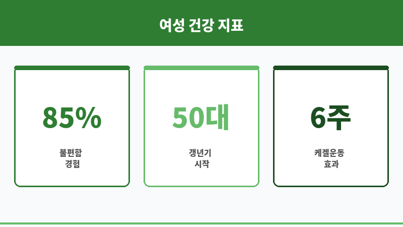 명기 보조 이미지
