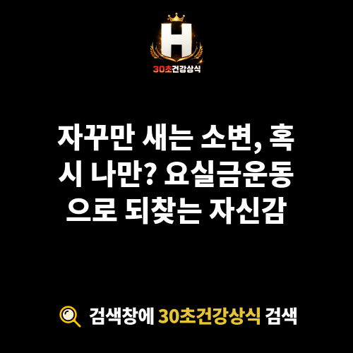 요실금운동