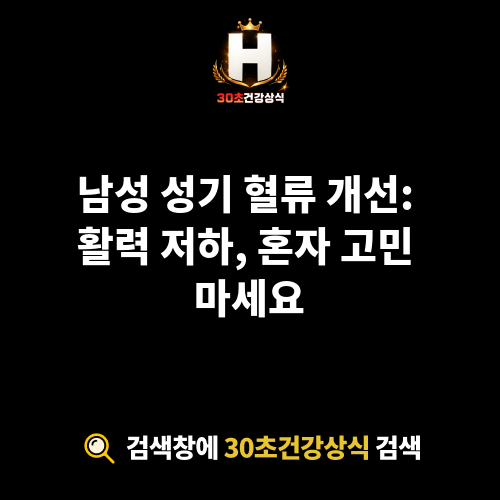 남성 성기 혈류 개선