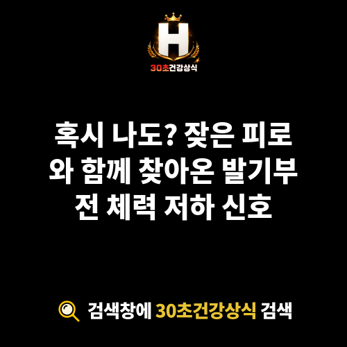 발기부전 체력 저하