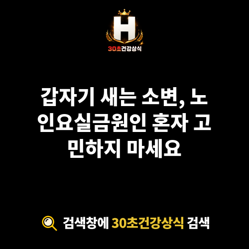 노인요실금원인