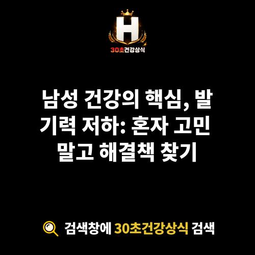 발기력