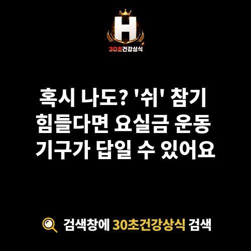 요실금 운동 기구