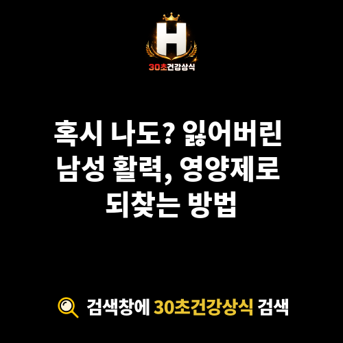 남성 활력 영양제