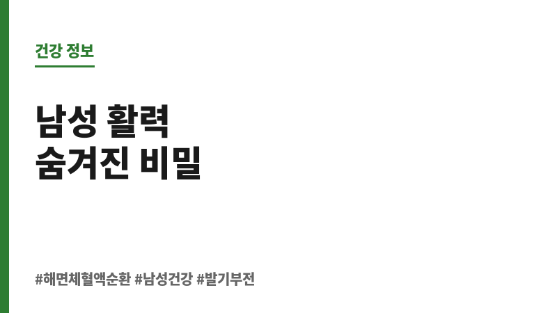 해면체 혈액순환 보조 이미지 해면체 혈액순환 보조 이미지