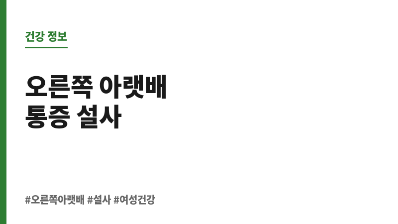 오른쪽 아랫배 통증 설사 보조 이미지