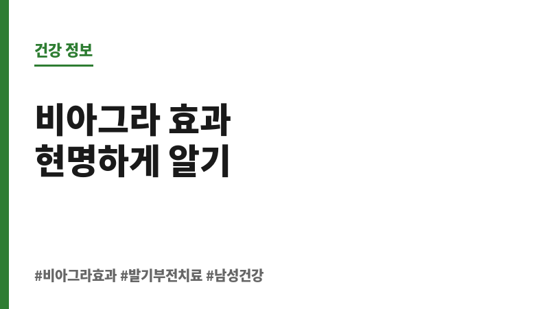 비아그라 효과 보조 이미지