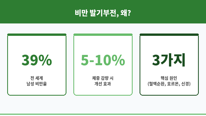 비만 발기부전 보조 이미지 비만 발기부전 보조 이미지