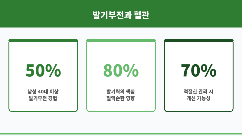 발기부전 혈액순환 보조 이미지