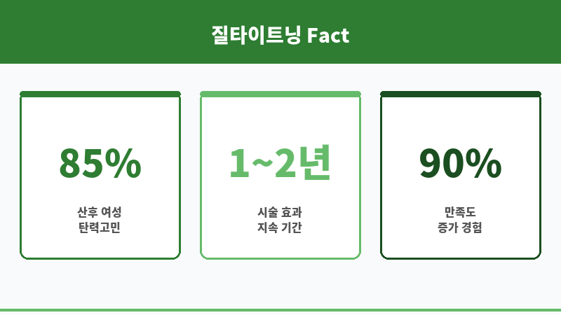 질타이트닝 보조 이미지 질타이트닝 보조 이미지