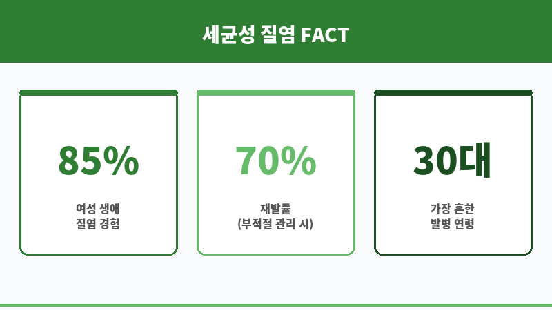 세균성 질염 항생제 보조 이미지 세균성 질염 항생제 보조 이미지
