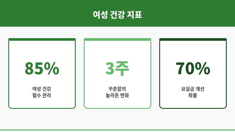 케겔볼 보조 이미지