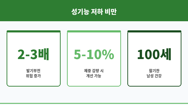 성기능 저하 비만 보조 이미지 성기능 저하 비만 보조 이미지