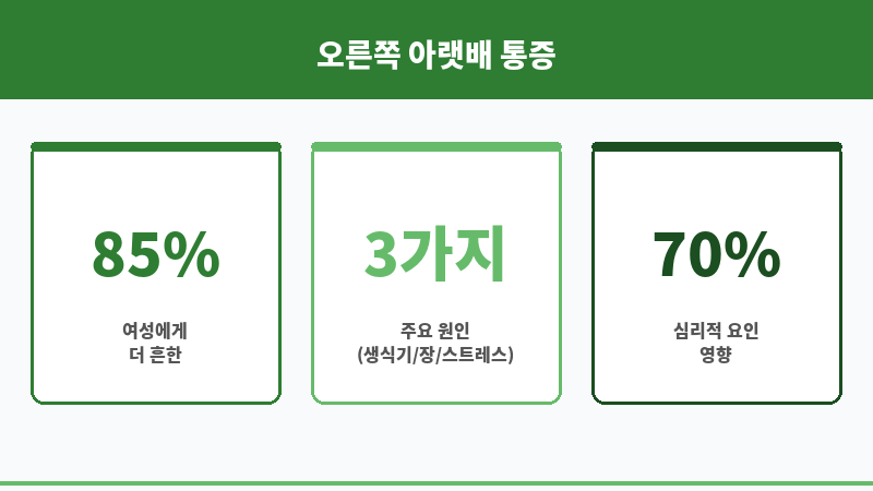 오른쪽 아랫배 통증 설사 보조 이미지