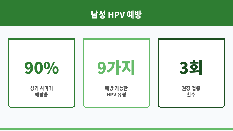 가다실 9가 남자 보조 이미지