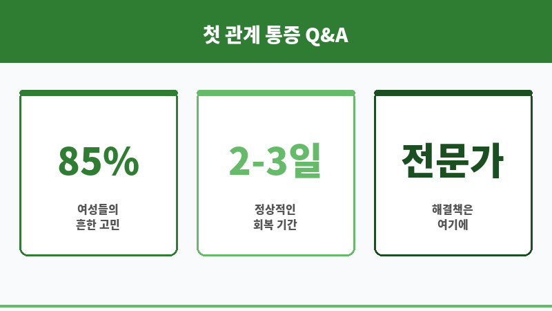첫관계 통증 보조 이미지 첫관계 통증 보조 이미지