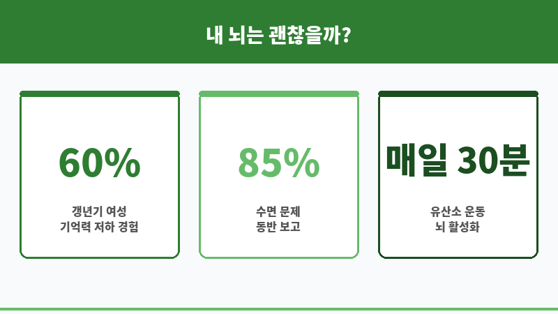 갱년기 뇌 건강 보조 이미지