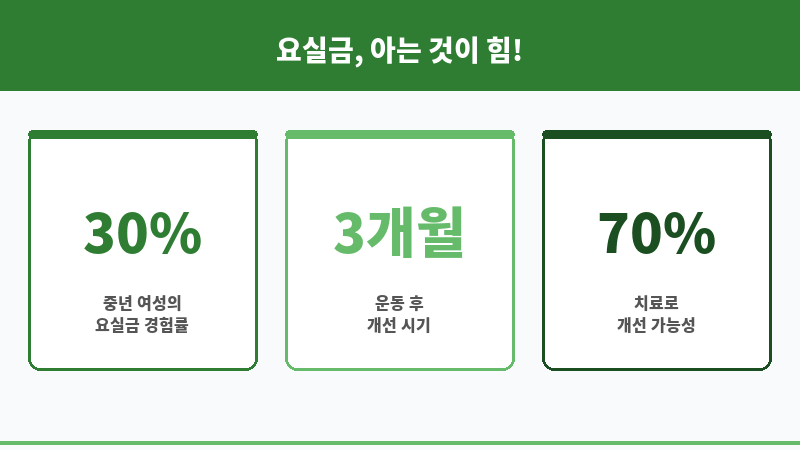 요실금 운동 치료 보조 이미지 요실금 운동 치료 보조 이미지