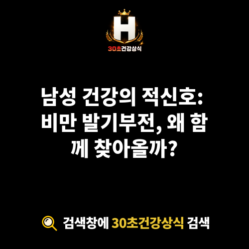 비만 발기부전