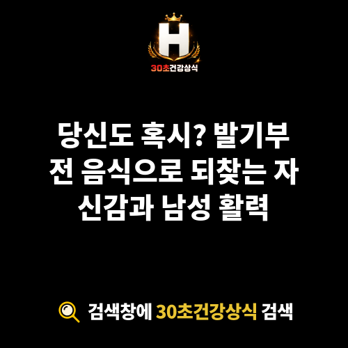 발기부전 음식