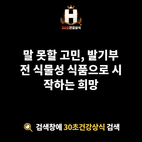 발기부전 식물성 식품