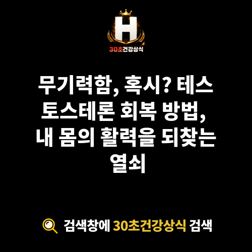 테스토스테론 회복 방법